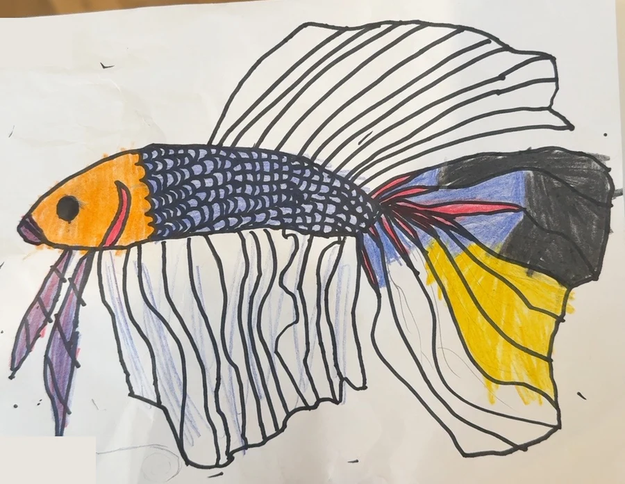 The original betta fish drawing